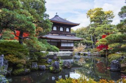 Kyoto